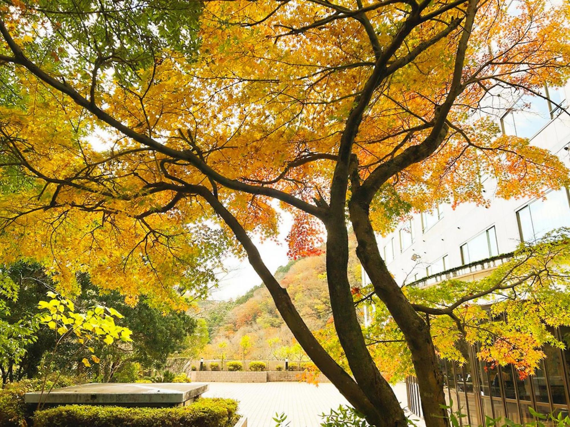 Shuzenji Onsen Hotel Takitei Izu  Exterior foto