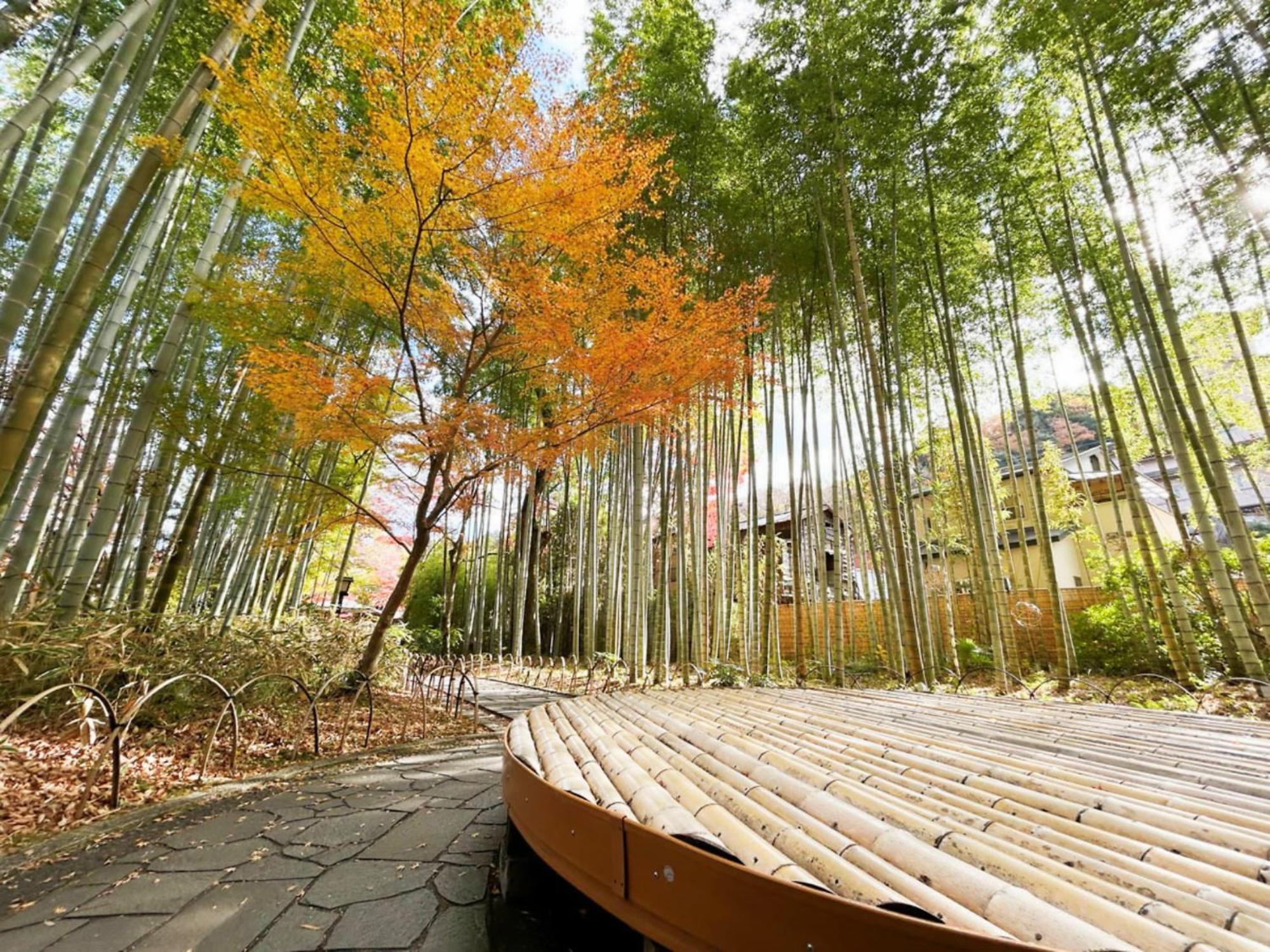 Shuzenji Onsen Hotel Takitei Izu  Exterior foto